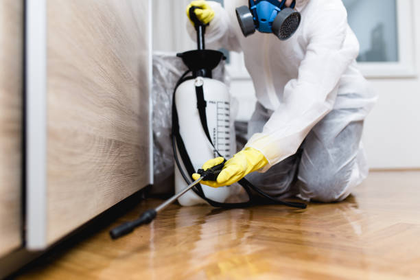 Best Pest Prevention Services  in Lakewood, WA