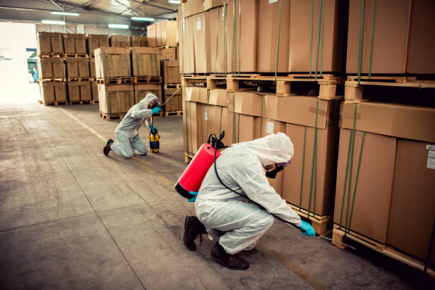 Reliable Lakewood, WA Pest Control Solutions
