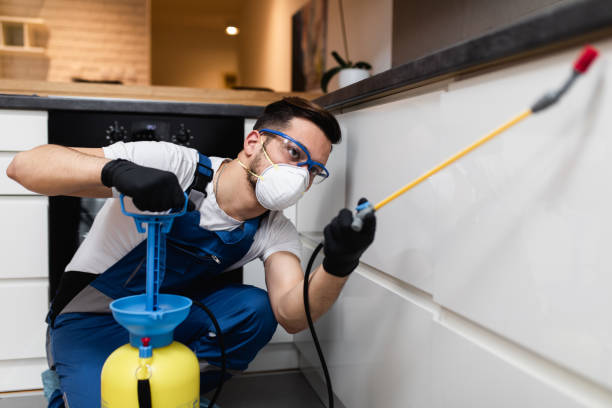 Best Pest Control Treatment  in Lakewood, WA