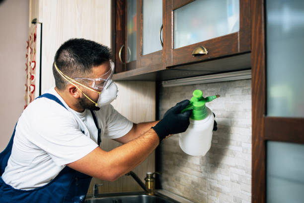 Best Affordable Pest Control Services  in Lakewood, WA