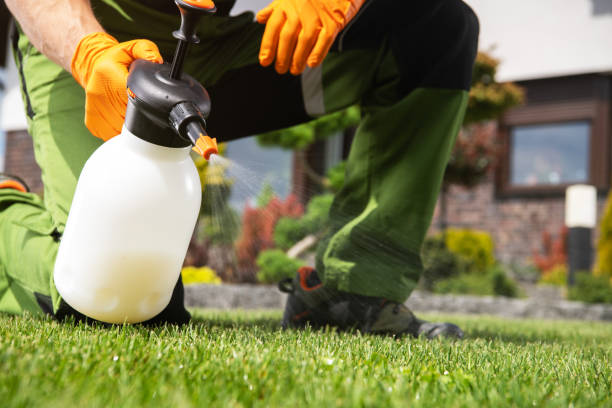 Best Pest Control Near Me  in Lakewood, WA