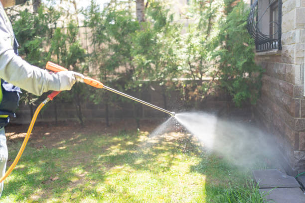 Best Mosquito Control Services  in Lakewood, WA